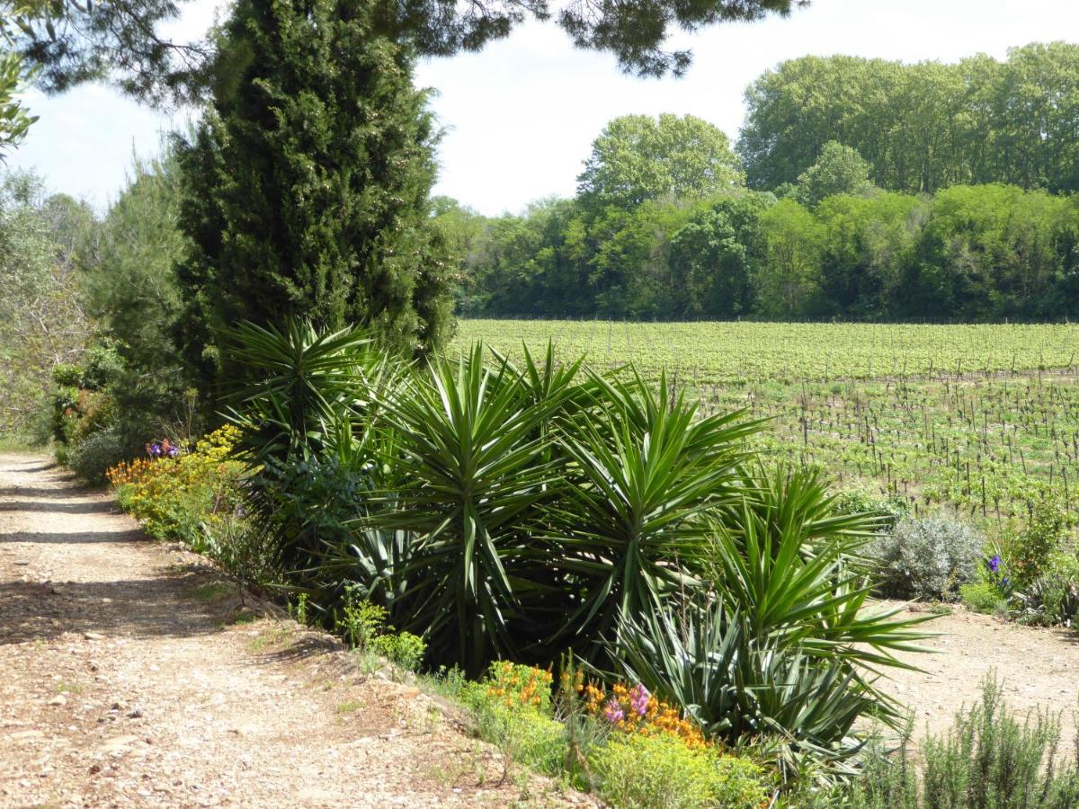 Domaine De L'Herbe Sainte Mirepeisset Eksteriør billede