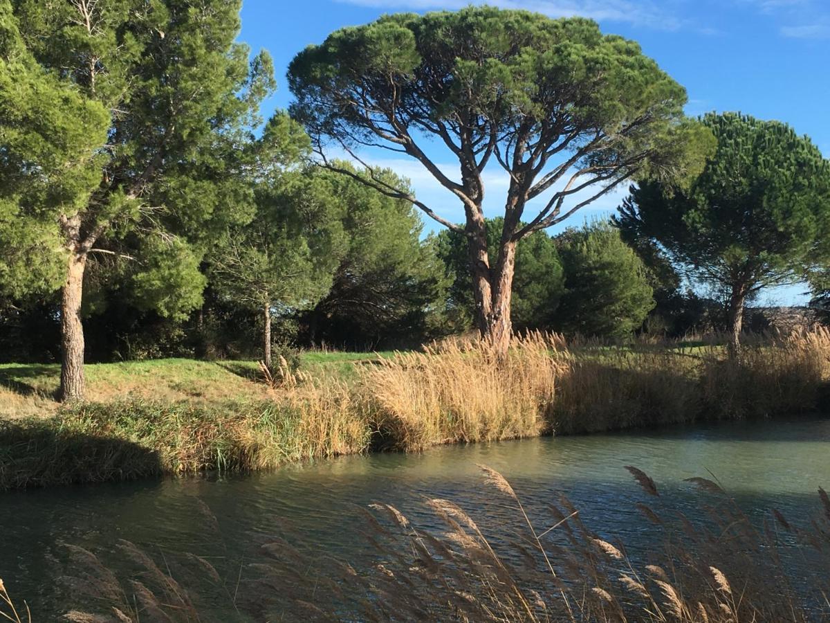 Domaine De L'Herbe Sainte Mirepeisset Eksteriør billede