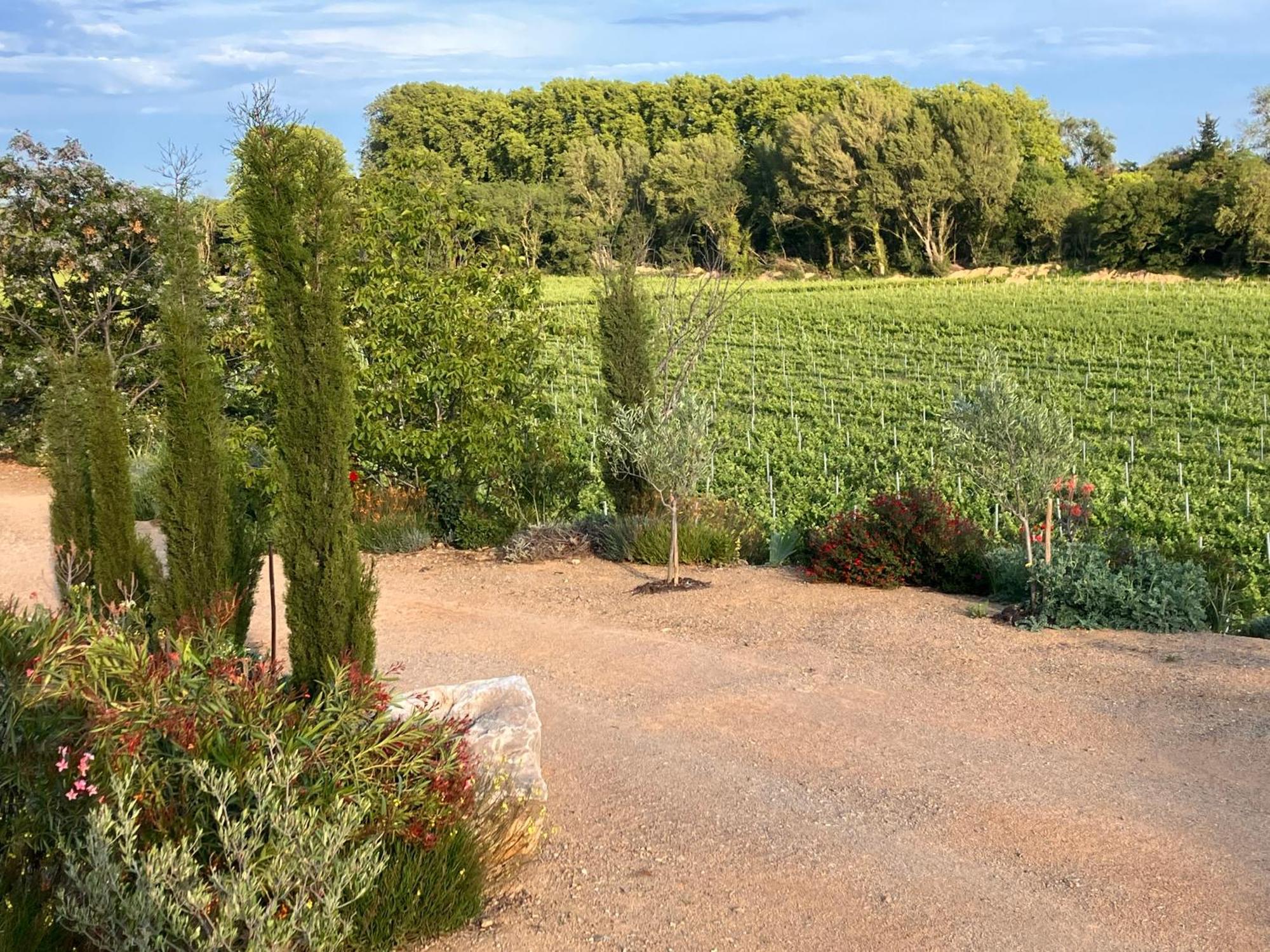 Domaine De L'Herbe Sainte Mirepeisset Eksteriør billede