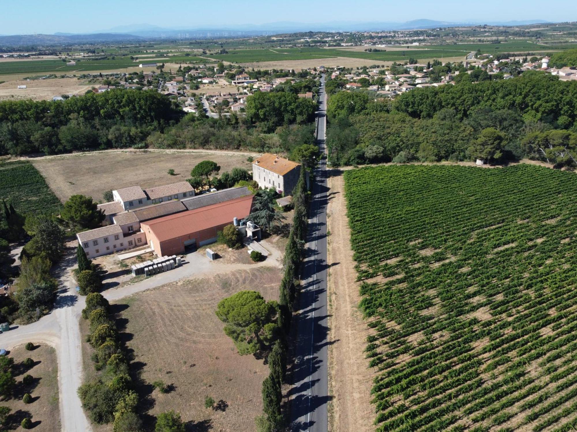 Domaine De L'Herbe Sainte Mirepeisset Eksteriør billede
