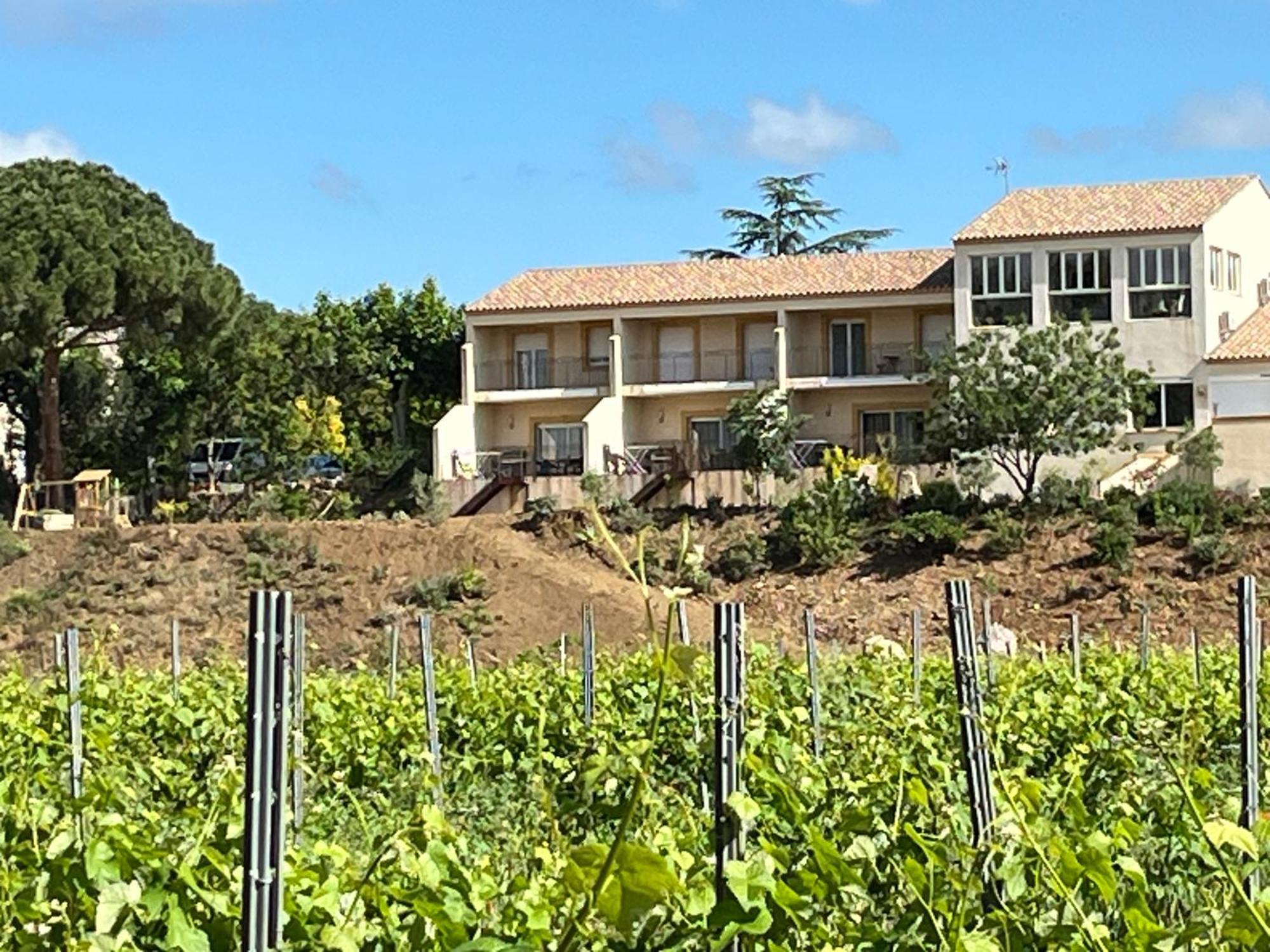 Domaine De L'Herbe Sainte Mirepeisset Eksteriør billede